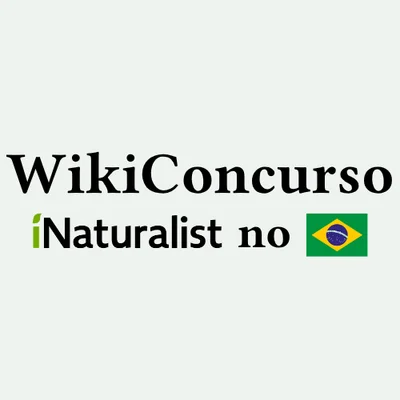 Logo WikiConcurso iNaturalist no Brasil 2026